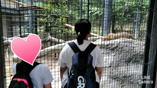 夏の動植物園！